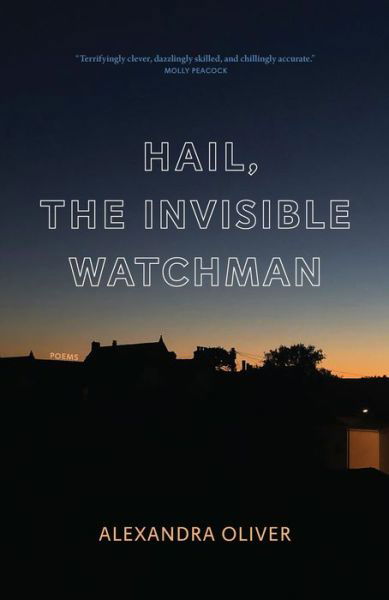 Hail, The Invisible Watchman - Alexandra Oliver - Książki - Biblioasis - 9781771964715 - 26 maja 2022