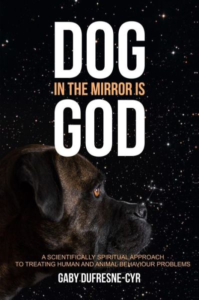 Cover for Gaby Dufresne-Cyr · Dog in the Mirror is God (Paperback Book) (2018)