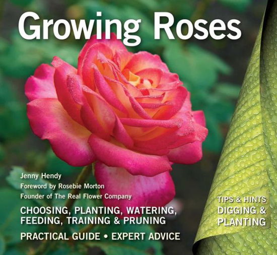 Cover for Jenny Hendy · Growing Roses: Plan, Plant and Maintain - Digging and Planting (Paperback Book) [London edition] (2019)