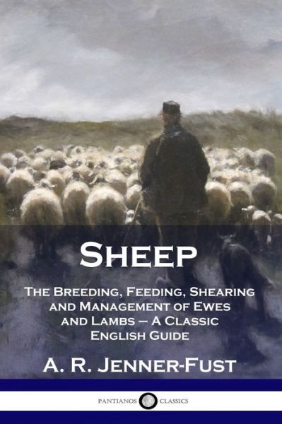 Cover for A R Jenner-Fust · Sheep: The Breeding, Feeding, Shearing and Management of Ewes and Lambs - A Classic English Guide (Paperback Book) (1901)