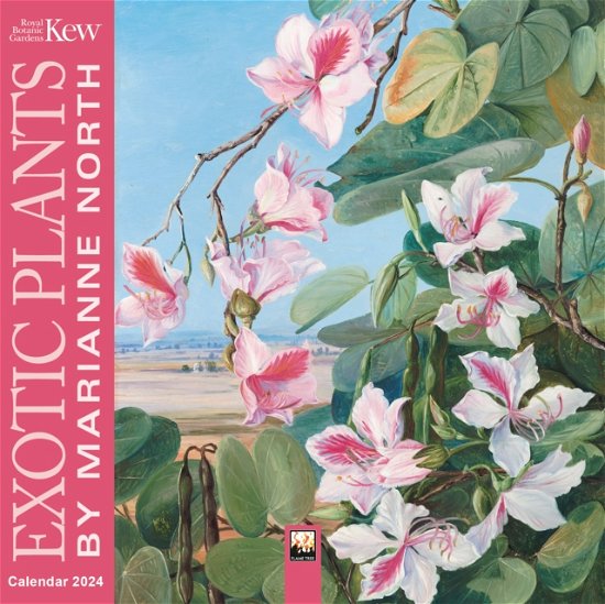 Kew Gardens: Exotic Plants by Marianne North Mini Wall Calendar 2024 (Art Calendar) (Kalender) [New edition] (2023)