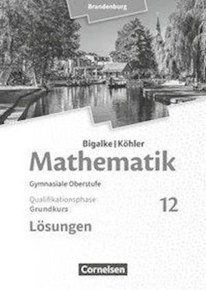 Cover for Horst Kuschnerow · Bigalke / Köhler: Mathematik - 12. Schuljahr - Grundkurs - Brandenburg - Lösungen zum Schülerbuch (Paperback Book) (2020)