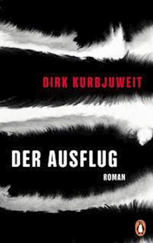 Cover for Dirk Kurbjuweit · Der Ausflug (Hardcover Book) (2022)