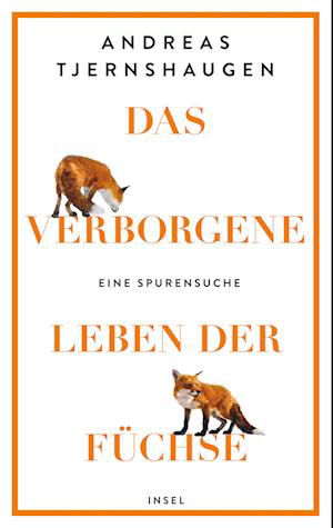 Cover for Andreas Tjernshaugen · Das verborgene Leben der Füchse (Book) (2023)
