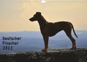 Cover for Ula Redl · Deutscher PinscherAT-Version  (Wandkalender 2022 DIN A4 quer) (Calendar) (2021)