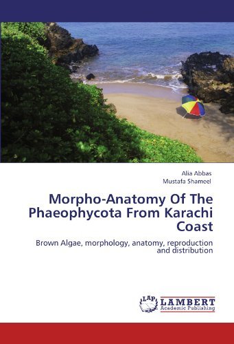 Cover for Mustafa Shameel · Morpho-anatomy of the Phaeophycota from Karachi Coast: Brown Algae, Morphology, Anatomy, Reproduction and Distribution (Paperback Bog) (2012)