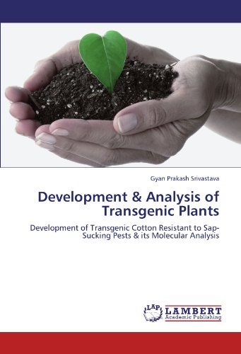 Cover for Gyan Prakash Srivastava · Development &amp; Analysis of Transgenic Plants: Development of Transgenic Cotton Resistant to Sap-sucking Pests &amp; Its Molecular Analysis (Paperback Bog) (2012)