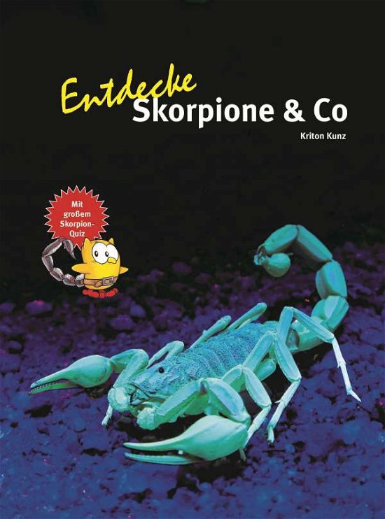 Cover for Kunz · Entdecke Skorpione &amp; Co. (Book)