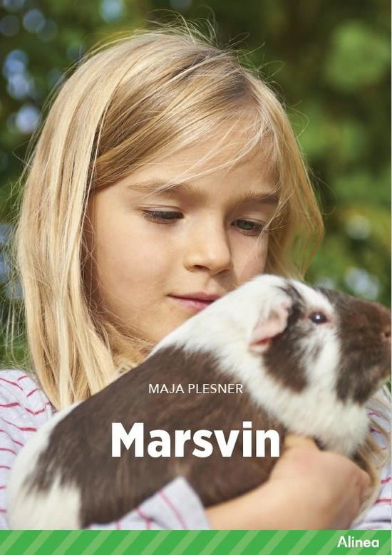 Cover for Maja Plesner · Fagklub: Marsvin, Grøn Fagklub (Bound Book) [1th edição] (2022)