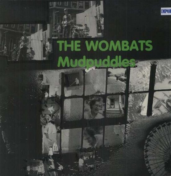 Cover for Wombats · Mudpuddles (LP) (2012)