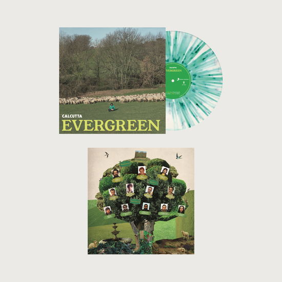 Cover for Calcutta · Evergreen - White &amp; Green Spaltter Vinyl Ltd.ed. (LP) (2022)