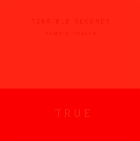 True - Solange - Muziek - Terrible Records - 0666017257716 - 16 januari 2013