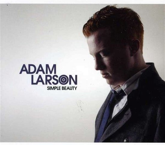 Simple Beauty - Adam Larson - Music - CD Baby - 0700261372716 - January 16, 2013