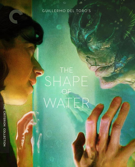 Cover for Criterion Collection · Shape of Water (4K UHD Blu-ray) (2024)