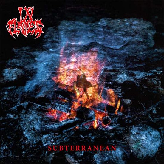 Cover for In Flames · Subterranean (LP) [Reissue edition] (2014)