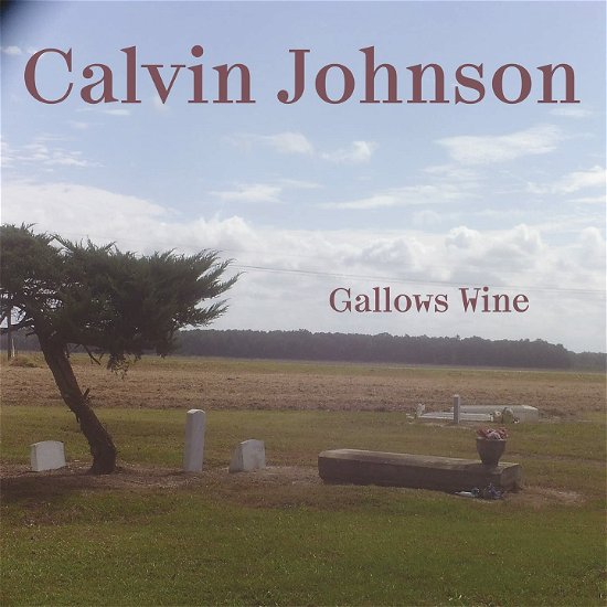Cover for Calvin Johnson · Gallows Wine (LP) (2023)