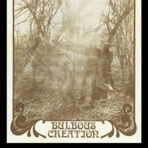 Cover for Bulbous Creation · You Won't Remember Dying (LP) (2014)