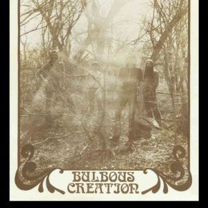 Cover for Bulbous Creation · You Wont Remember Dying (LP) (2014)