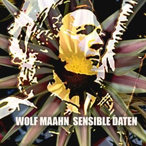 Sensible Daten - Wolf Maahn - Musiikki - LIBERO RECORDS - 0886922124716 - perjantai 18. maaliskuuta 2016