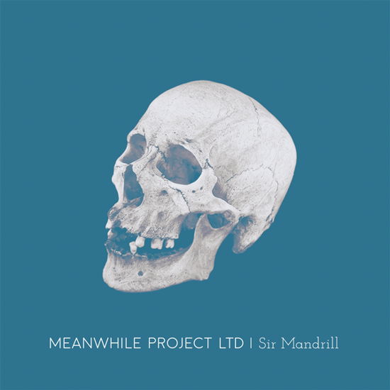 Cover for Meanwhile Project Ltd · Sir Mandrill (CD) (2024)