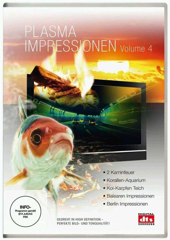 Cover for Plasma Impressionen Vol.4 (DVD) (2010)