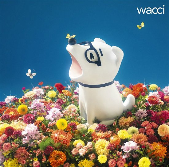 Cover for Wacci · Kirameki (CD) [Japan Import edition] (2014)