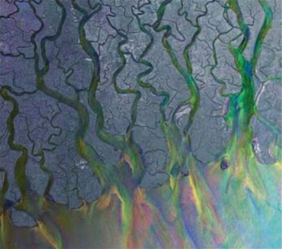 Cover for Alt-J · An Awesome Wave (LP) (2012)
