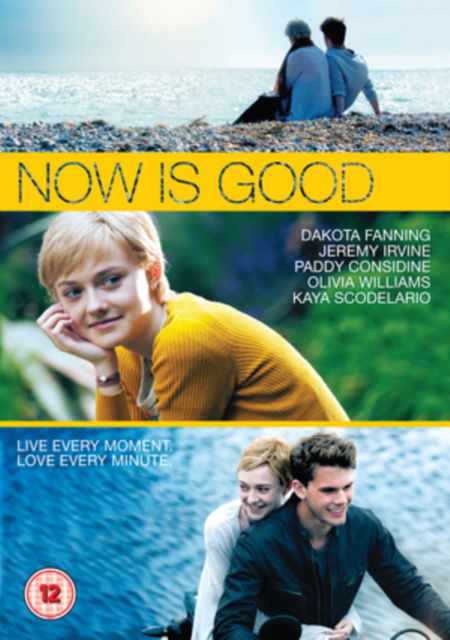 Now Is Good -  - Movies - WARNER HOME VIDEO - 5051892123716 - January 21, 2013