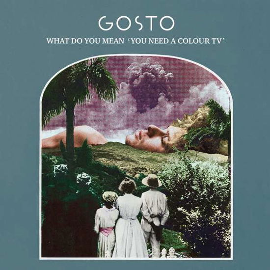 Cover for Gosto · What Do You Mean 'you Need A Colour Tv' (LP) (2019)