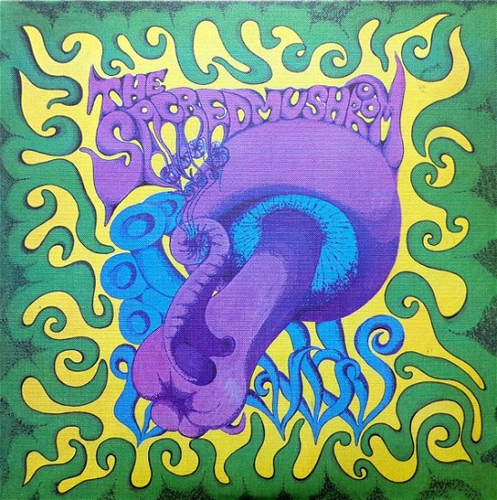 Cover for Sacred Mushroom (LP) (2024)