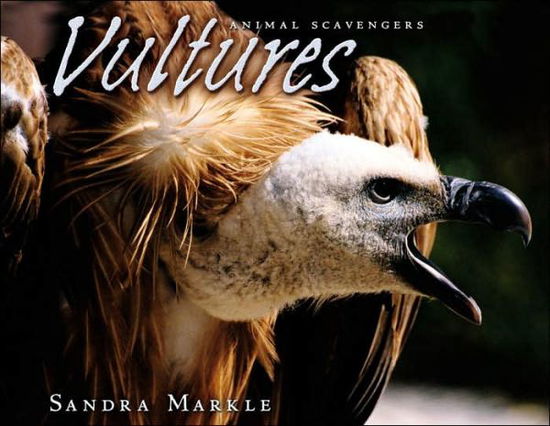 Cover for Sandra Markle · Vultures - Animal Scavengers (Taschenbuch) (2010)