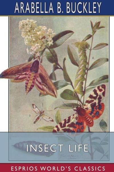 Cover for Arabella B Buckley · Insect Life (Esprios Classics) (Paperback Bog) (2024)