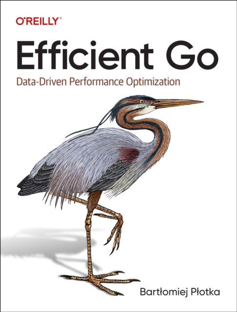 Cover for Bartlomiej Plotka · Efficient Go: Data-Driven Performance Optimization (Paperback Book) (2022)