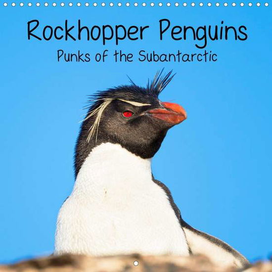 Cover for Zwick · Rockhopper Penguins - Punks of th (Bok)