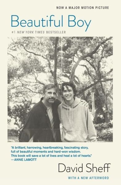 Beautiful Boy (tie-In): A Father's Journey Through His Son's Addiction - David Sheff - Böcker - HarperCollins - 9781328974716 - 4 september 2018