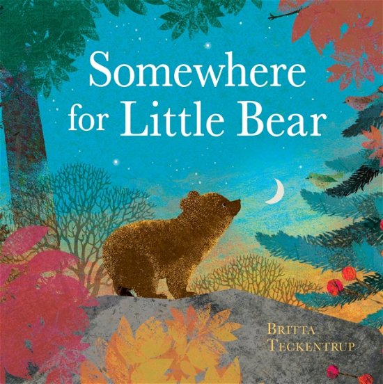 Cover for Britta Teckentrup · Somewhere for Little Bear (Hardcover bog) (2024)