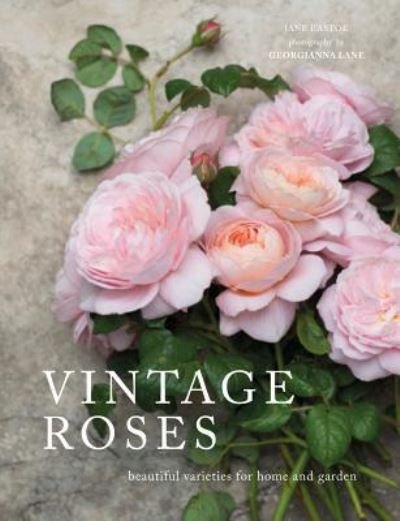 Cover for Jane Eastoe · Vintage Roses : Beautiful Varieties for Home and Garden (Inbunden Bok) (2017)