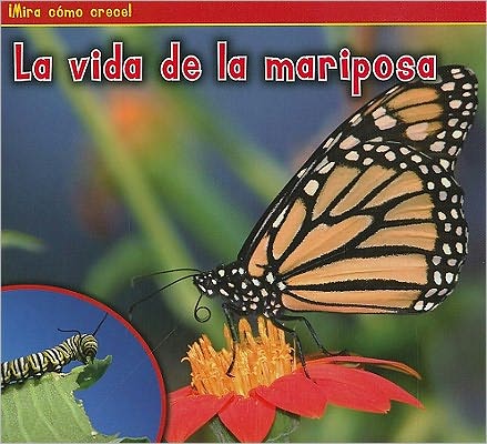 Cover for Nancy Dickmann · La vida de la mariposa (Book) [1st edition] (2011)