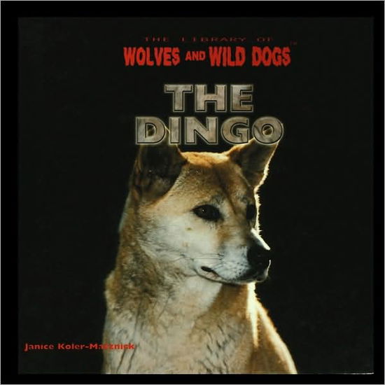 Cover for Janice Koler-matznick · The Dingo (Paperback Book) (2003)