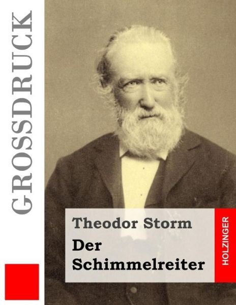 Cover for Theodor Storm · Der Schimmelreiter (Grossdruck) (Pocketbok) (2016)