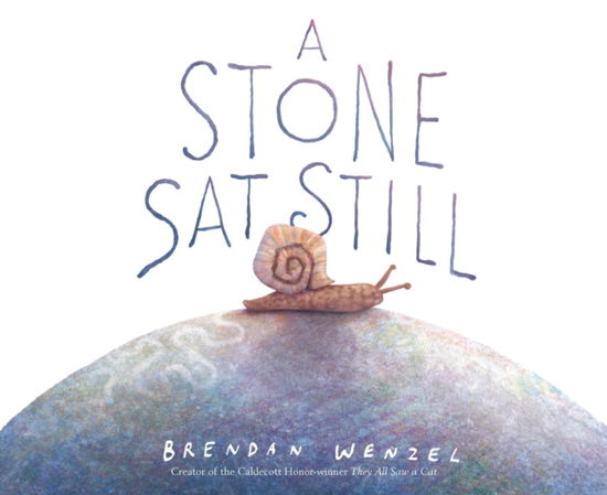 Cover for Brendan Wenzel · A Stone Sat Still (Paperback Book) (2022)