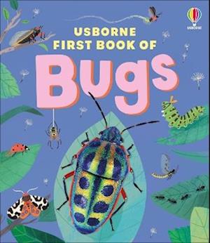 Cover for Katie Daynes · The Usborne First Book of Bugs (Hardcover Book) (2026)