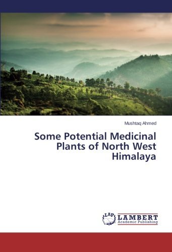 Cover for Mushtaq Ahmed · Some Potential Medicinal Plants of North West Himalaya (Paperback Book) (2014)