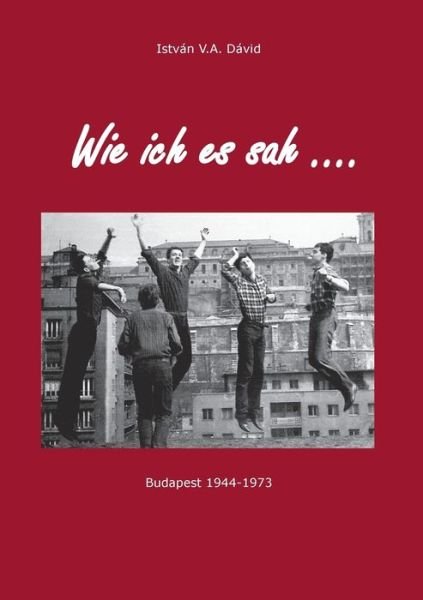 Cover for Dávid · Wie ich es sah (Book) (2018)