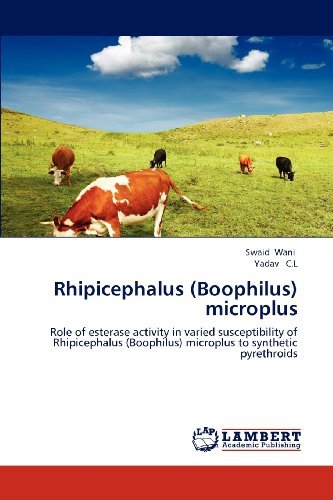Cover for Yadav C.l · Rhipicephalus (Boophilus) Microplus: Role of Esterase Activity in Varied Susceptibility of Rhipicephalus (Boophilus) Microplus to Synthetic Pyrethroids (Paperback Book) (2012)