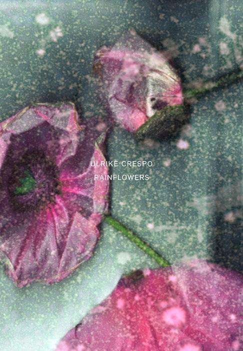 Cover for Crespo · Rainflowers (Book)