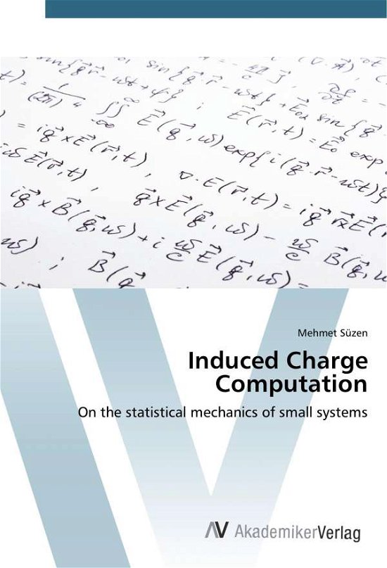 Cover for Süzen · Induced Charge Computation (Book)