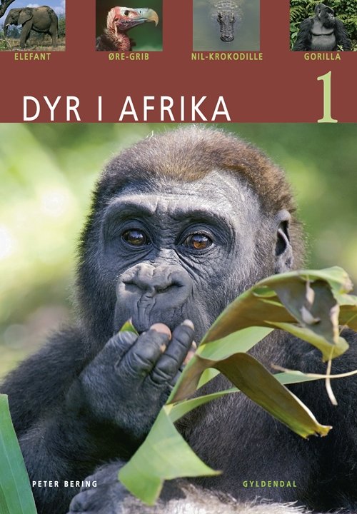 Cover for Peter Bering · Dyr: Dyr i Afrika 1 (Sewn Spine Book) [1e uitgave] (2009)