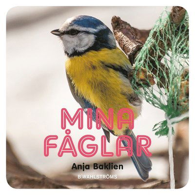 Cover for Anja Baklien · Mina fåglar (ePUB) (2015)