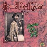 Cover for Hound Dog Taylor · Beware of the Dog (LP) (2024)